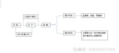 佩蒂股份的研究报告